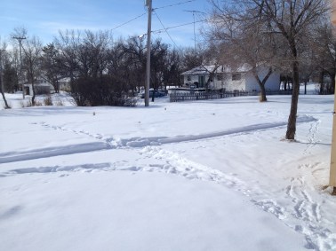 Iphone July 2014 557